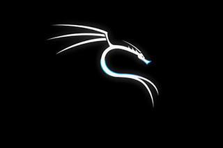 kali linux pentest tools
